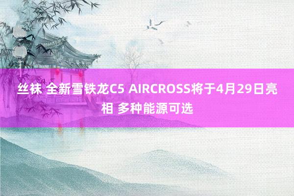 丝袜 全新雪铁龙C5 AIRCROSS将于4月29日亮相 多种能源可选