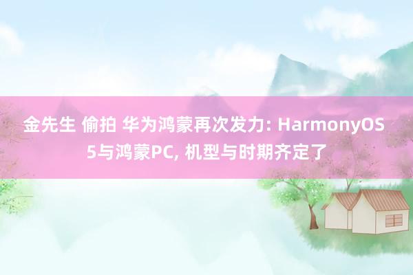 金先生 偷拍 华为鸿蒙再次发力: HarmonyOS 5与鸿蒙PC， 机型与时期齐定了