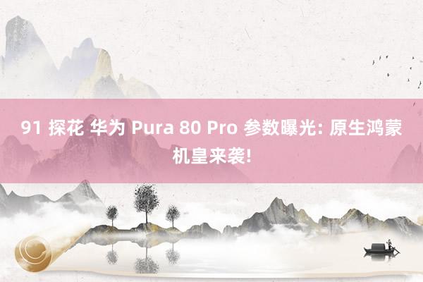 91 探花 华为 Pura 80 Pro 参数曝光: 原生鸿蒙机皇来袭!