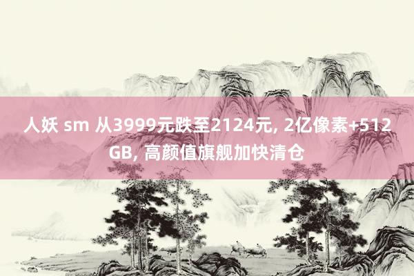 人妖 sm 从3999元跌至2124元， 2亿像素+512GB， 高颜值旗舰加快清仓