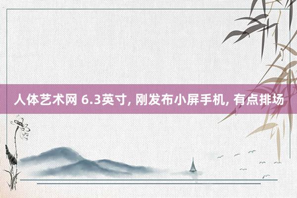 人体艺术网 6.3英寸， 刚发布小屏手机， 有点排场